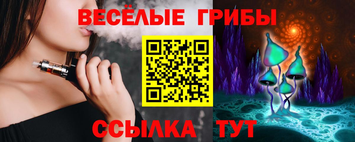 Псилоцибиновые грибы GOLDEN TEACHER Таганрог