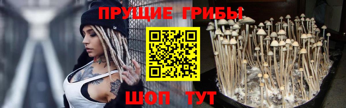Таганрог  Галлюциногенные грибы Magic Shrooms  Вход с VPN 